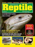 Practical Reptile Keeping